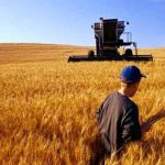 یارانه انرژی باز هم به کار مردم نیامد/ پشت پای کشاورزان به تامین نیاز داخلی گندم