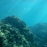 چین؛ پیشگام آغاز بهره‌برداری از معادن دریایی