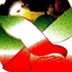 برخورد با خاطیان شهرداری منطقه ۱۹